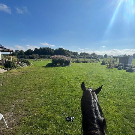 Vila Stajnia Orlowscy Ladzin  Exteriér fotografie