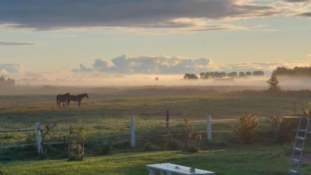 Vila Stajnia Orlowscy Ladzin  Exteriér fotografie