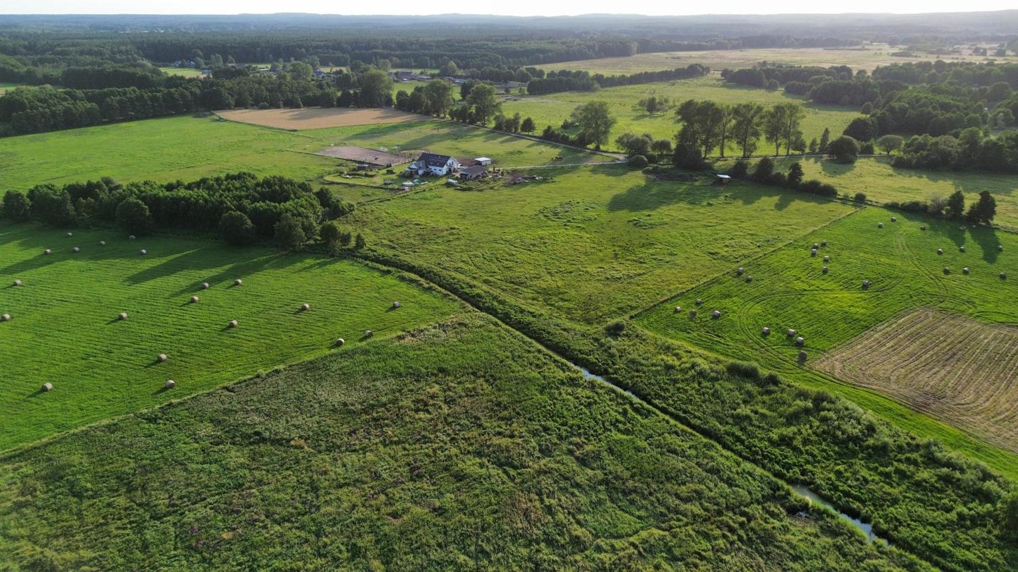 Vila Stajnia Orlowscy Ladzin  Exteriér fotografie