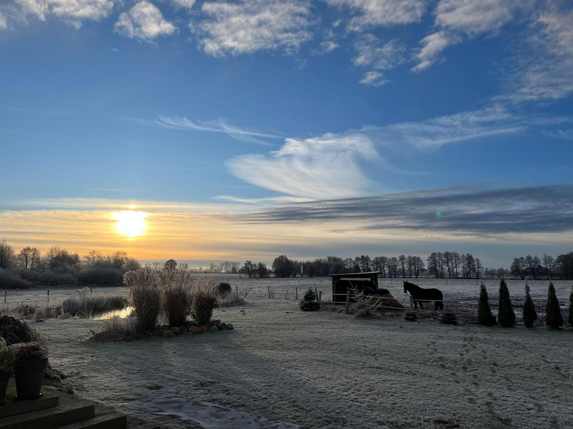 Vila Stajnia Orlowscy Ladzin  Exteriér fotografie