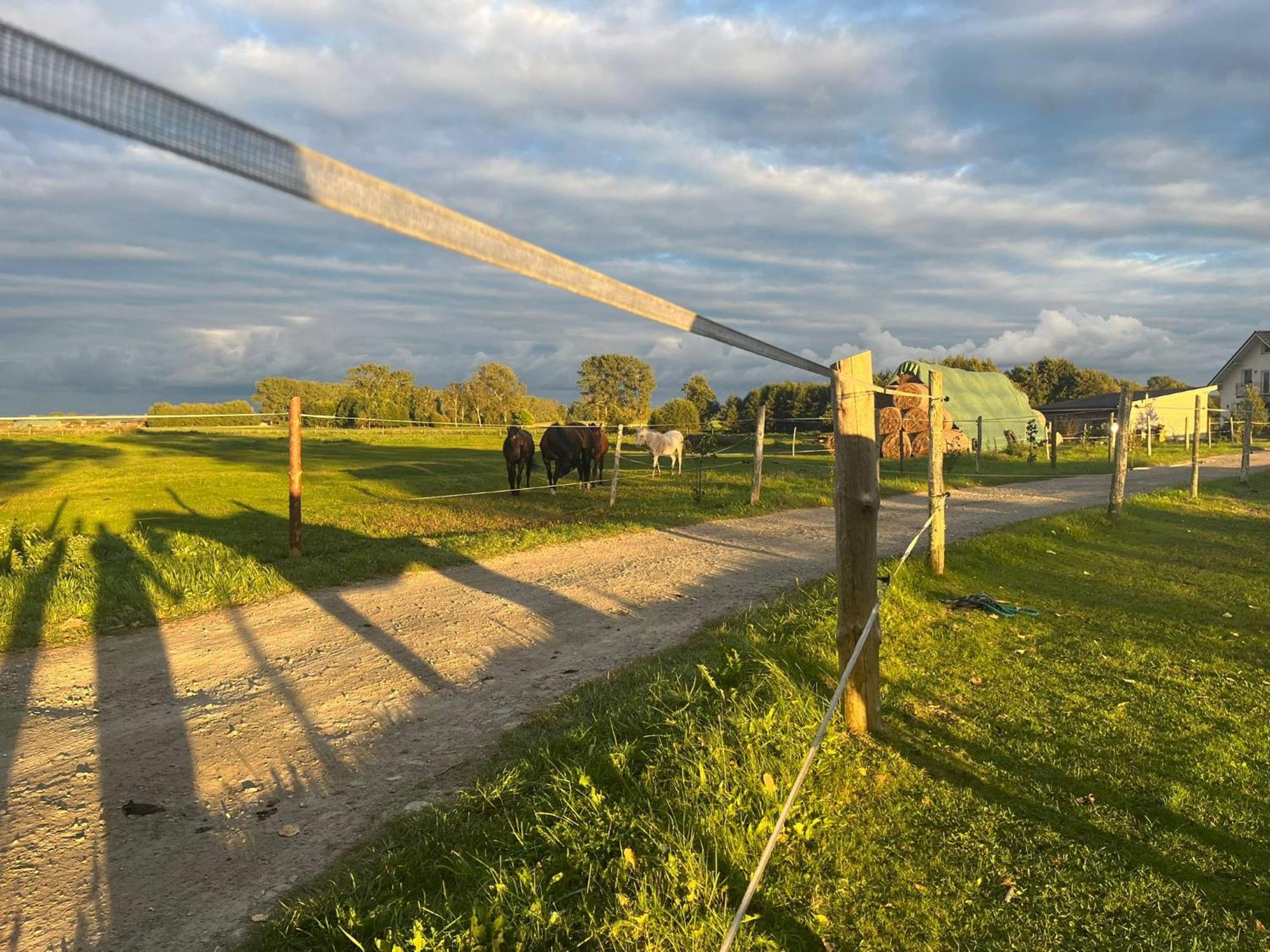 Vila Stajnia Orlowscy Ladzin  Exteriér fotografie